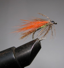 ���� ������ Wet fly 